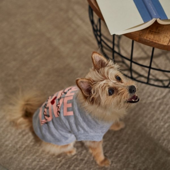 Pet tee NWOT - Picture 3 of 7